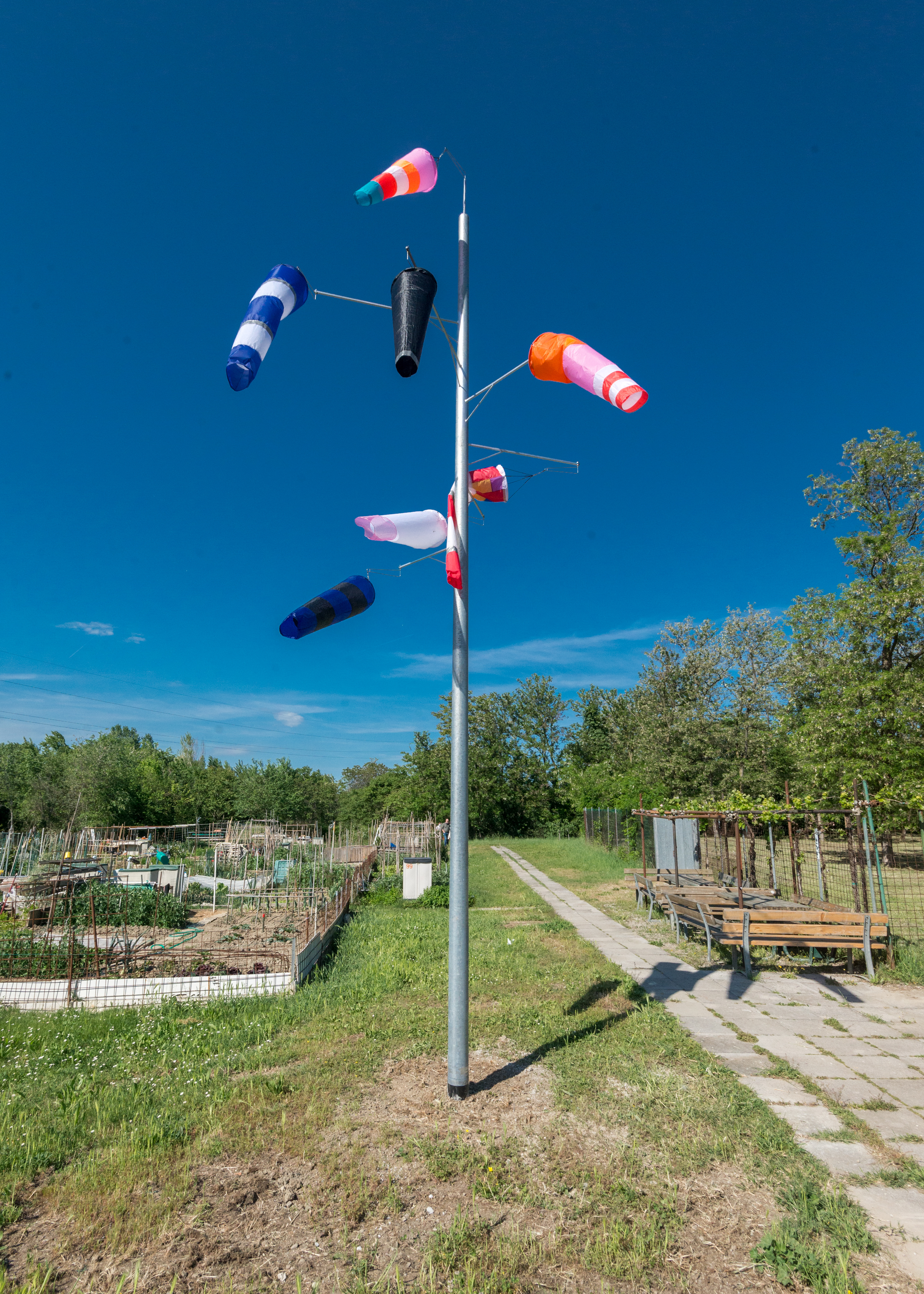 Margherita Morgantin